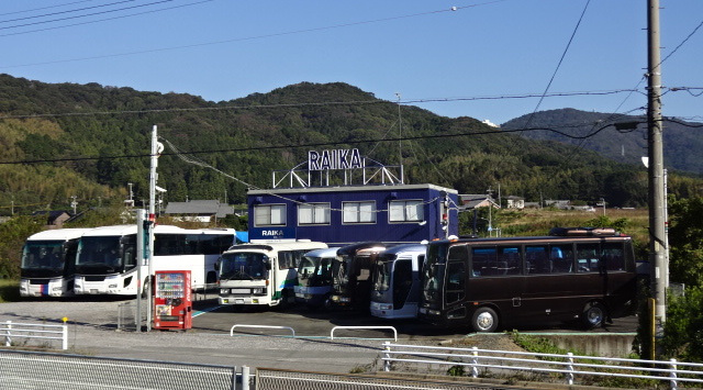 代表